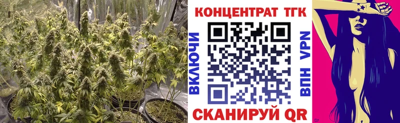 Дистиллят ТГК концентрат Стародуб